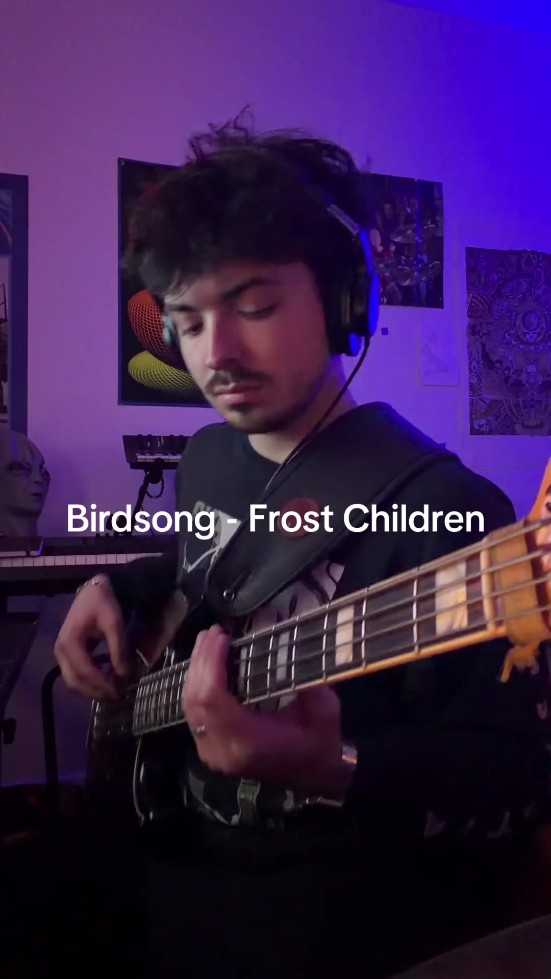 Birdsong - Frost Children